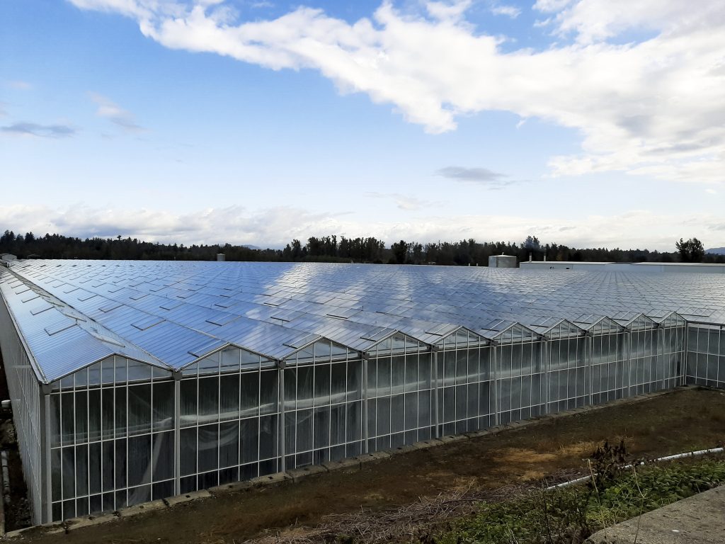 Merom Farms solar panels