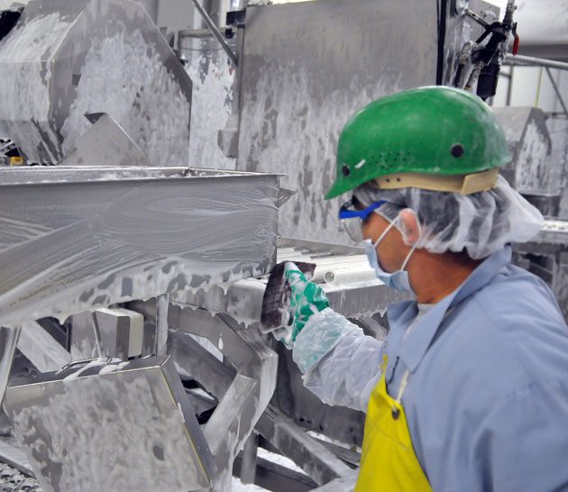 Maple Leaf employee sanitising equipment with a cleaning foam